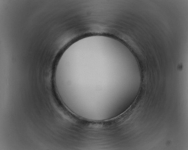X0000094320440200711241810