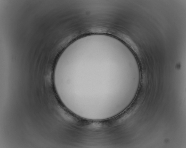 X0000094320441200711241810