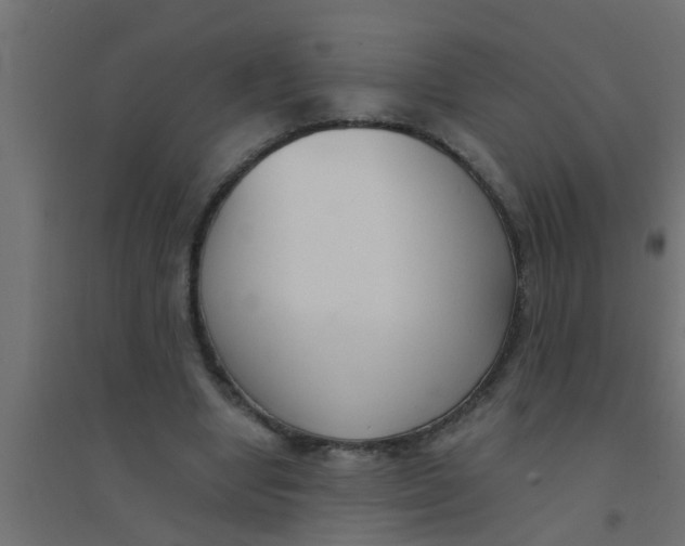 X0000094320442200711241810