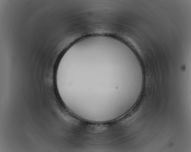 X0000094320443200711241810