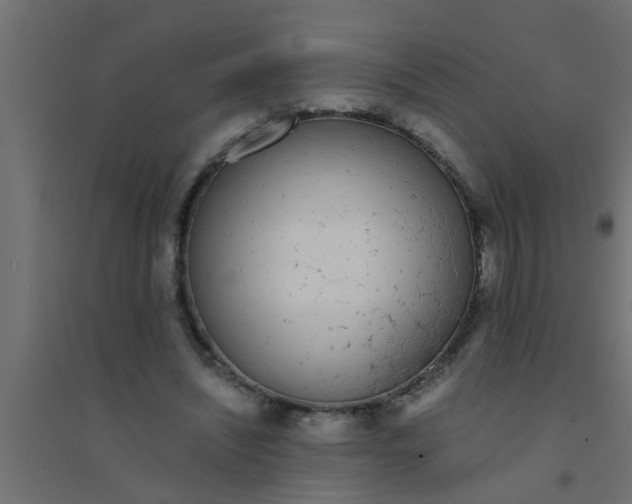 X0000094320444200711241810