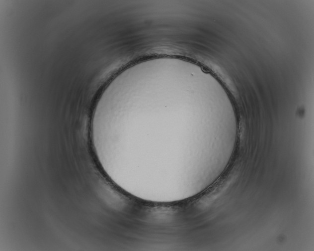 X0000094320445200711241810
