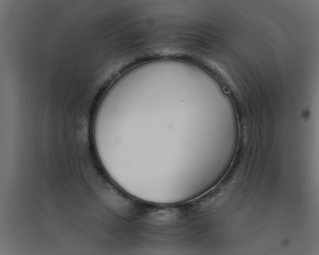 X0000094320447200711241810