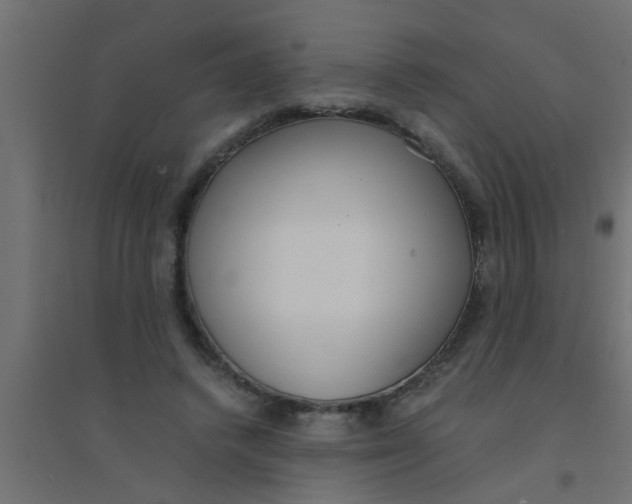 X0000094320448200711241810