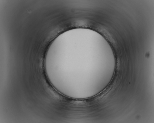 X0000094320449200711241810