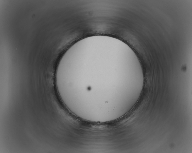 X0000094320450200711241810