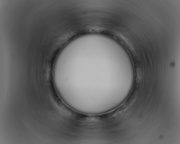 X0000094320451200711241810