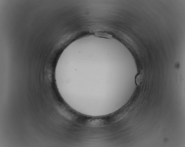 X0000094320452200711241810