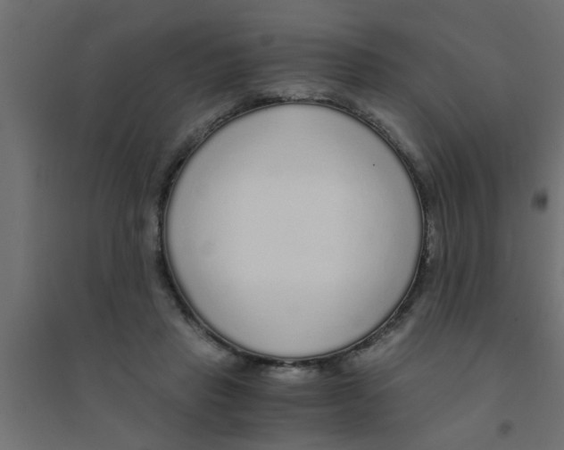 X0000094320453200711241810