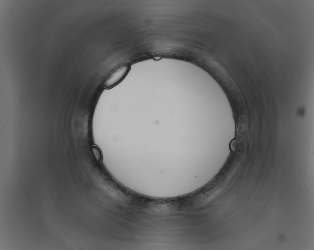 X0000094320454200711241810