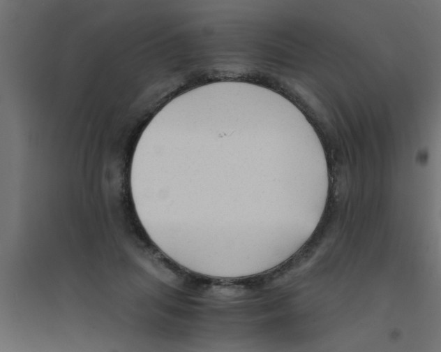 X0000094320455200711241811
