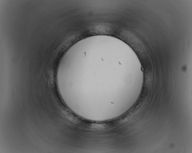 X0000094320457200711241811