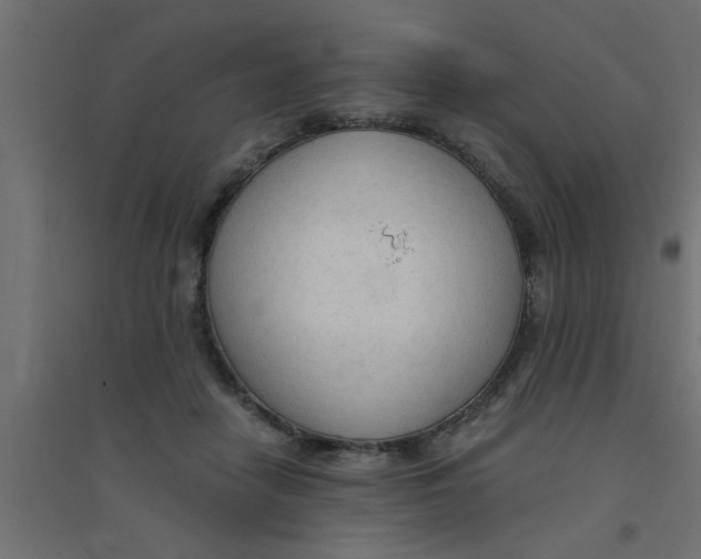 X0000094320458200711241811