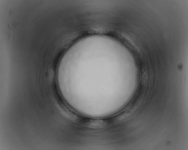 X0000094320459200711241811