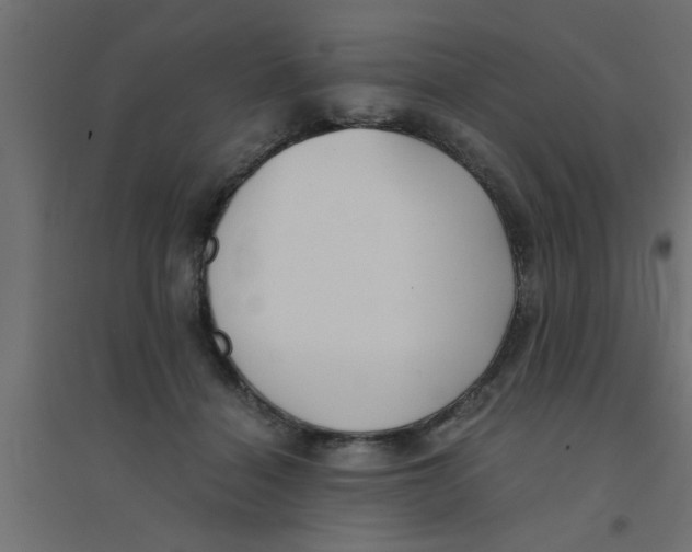 X0000094320460200711241811