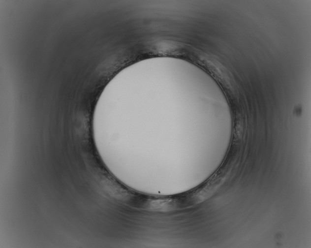X0000094320461200711241811