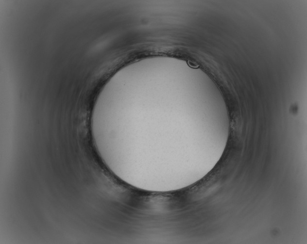 X0000094320462200711241811