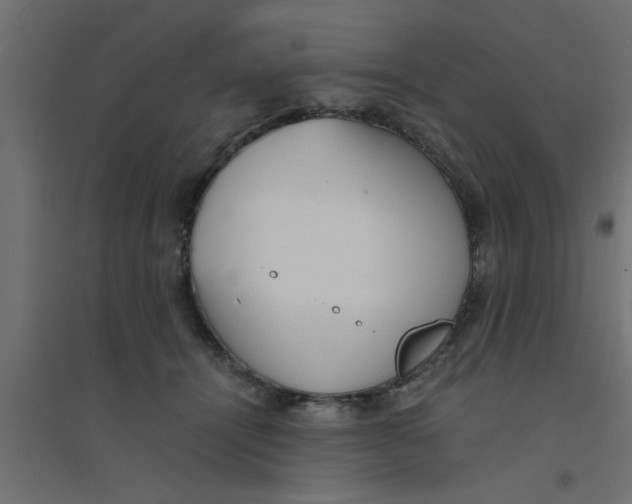 X0000094320464200711241811