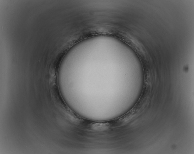 X0000094320465200711241811