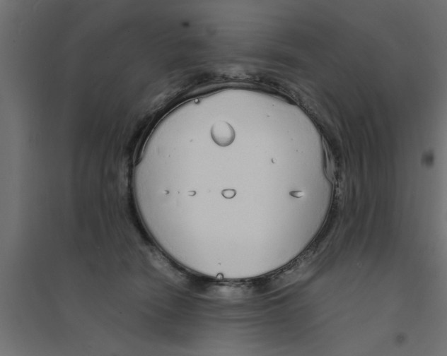 X0000094320466200711241811