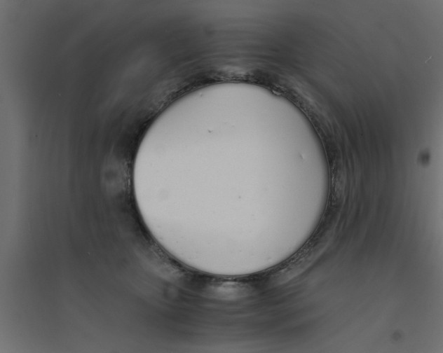 X0000094320467200711241811
