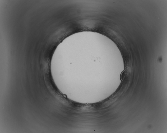 X0000094320468200711241811