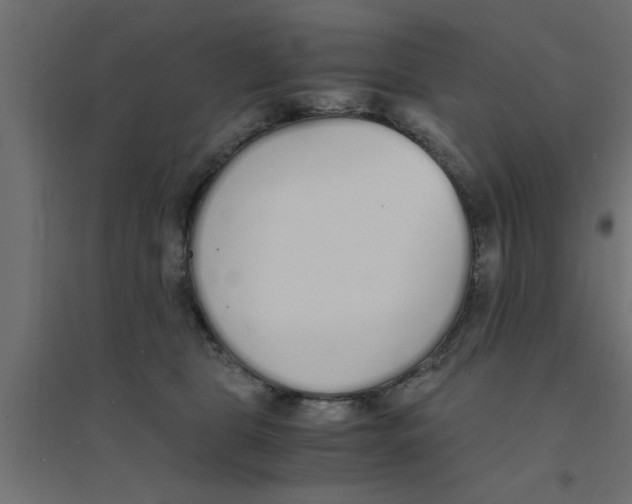 X0000094320469200711241811