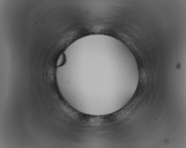 X0000094320470200711241811