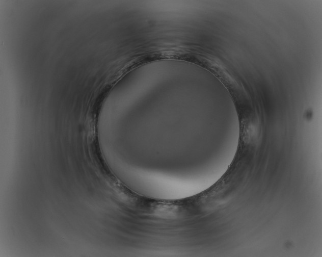 X0000094320471200711241811