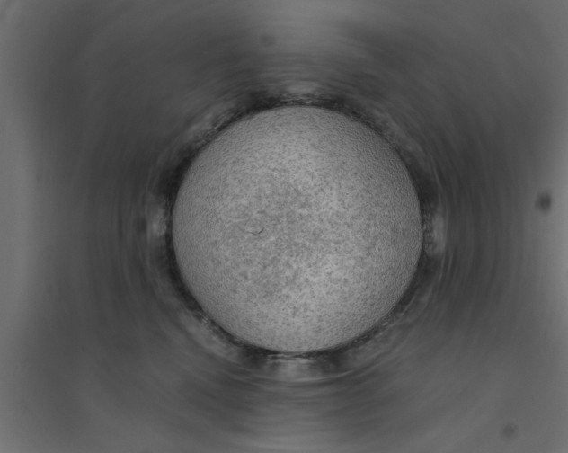 X0000094320472200711241811