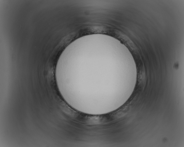 X0000094320473200711241811
