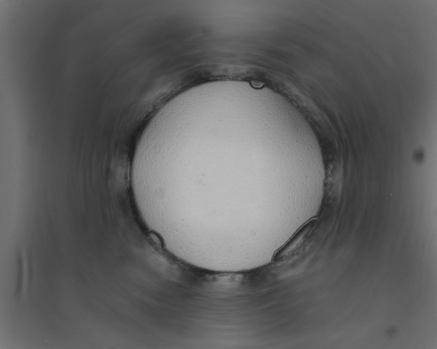 X0000094320474200711241811
