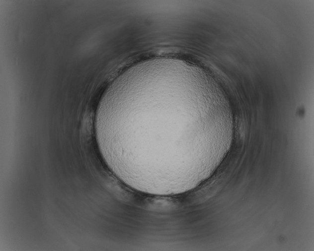 X0000094320475200711241811