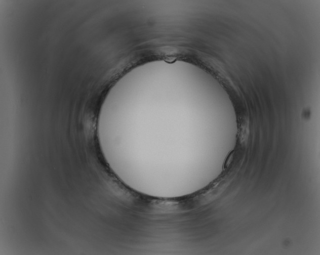 X0000094320476200711241811