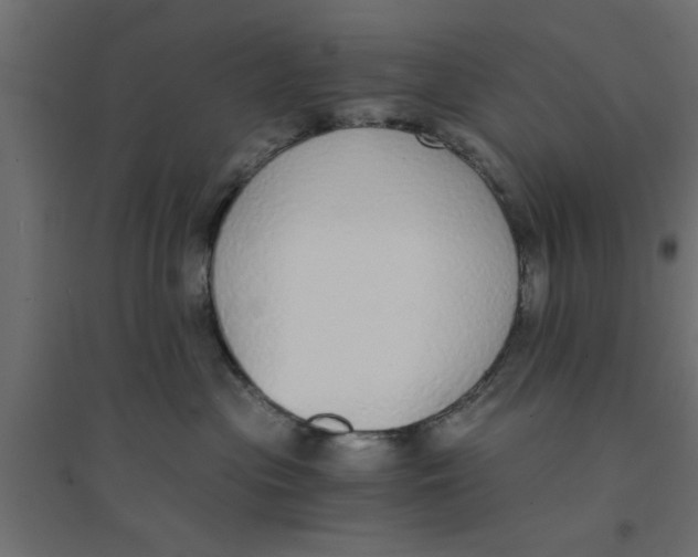 X0000094320477200711241811