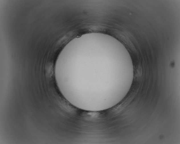 X0000094320478200711241811