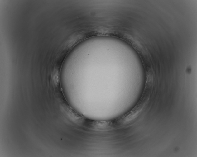 X0000094320479200711241811
