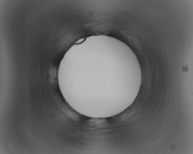 X0000094320480200711241811
