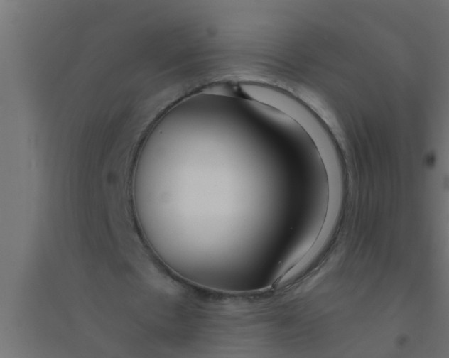 X0000094320481200711241810