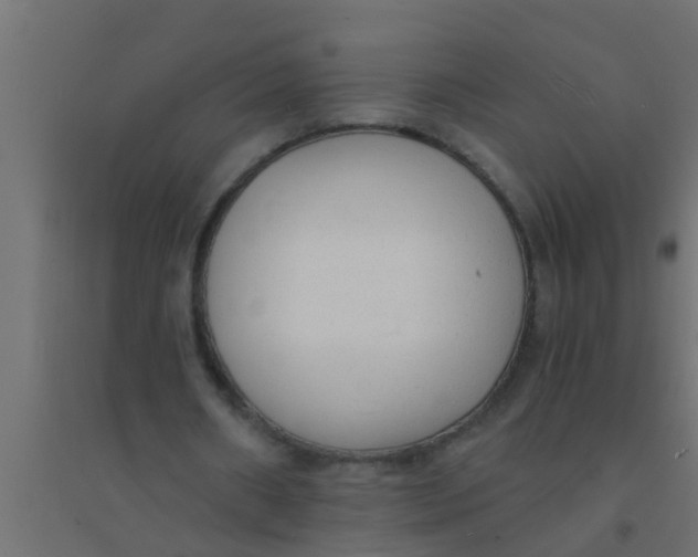 X0000094320482200711241810