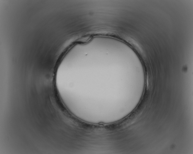 X0000094320483200711241810