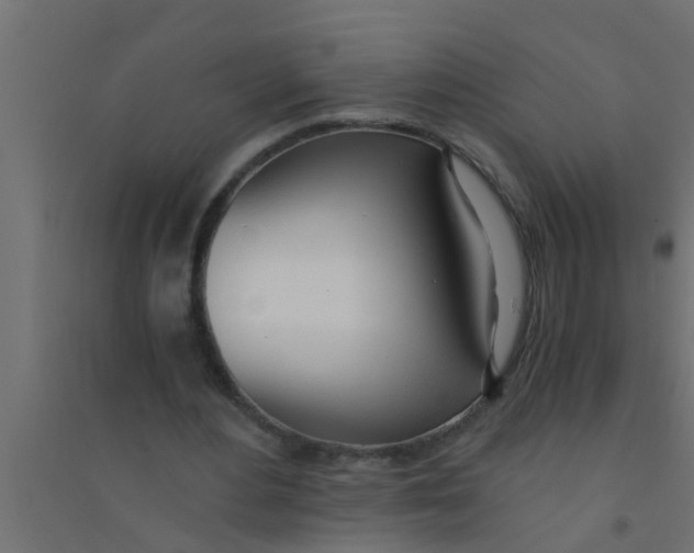 X0000094320484200711241810