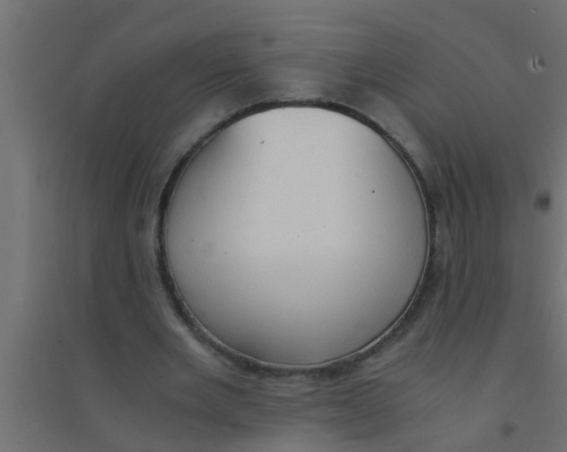 X0000094320485200711241810