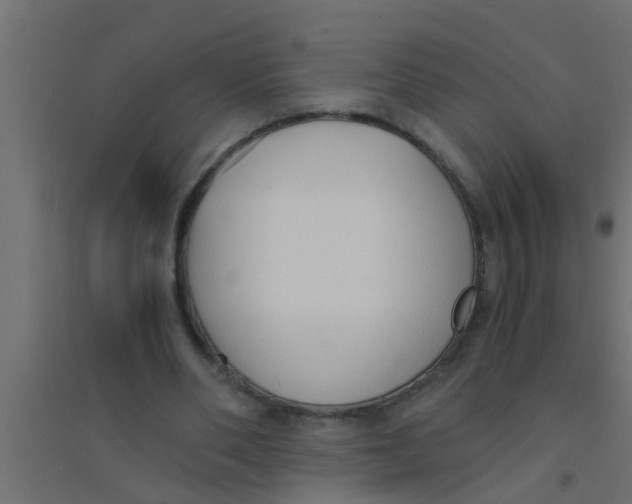 X0000094320486200711241810