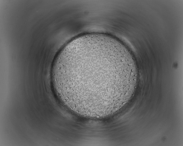 X0000094320487200711241810
