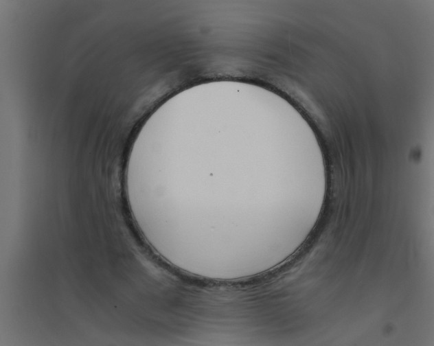 X0000094320489200711241810