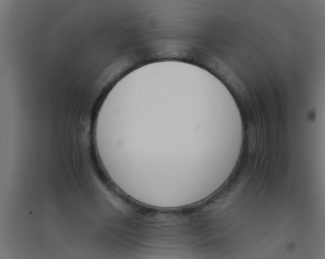 X0000094320490200711241810