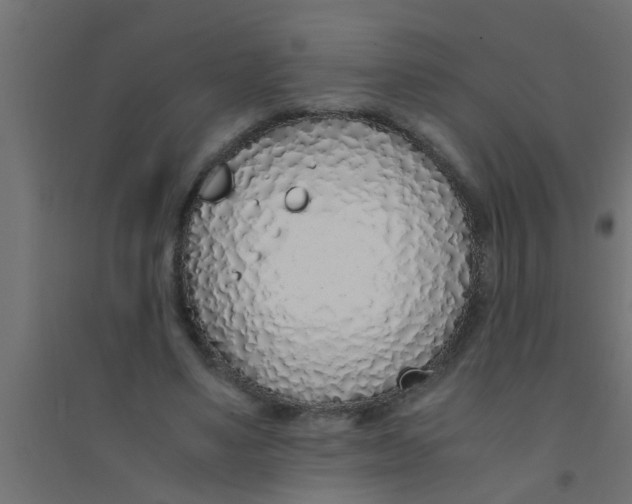 X0000094320491200711241810