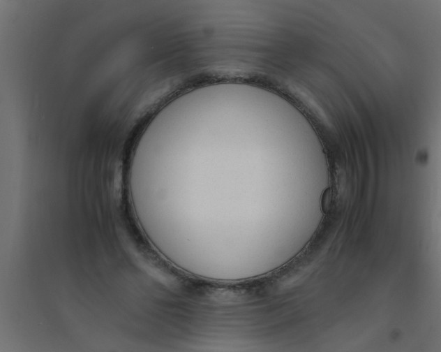 X0000094320494200711241810