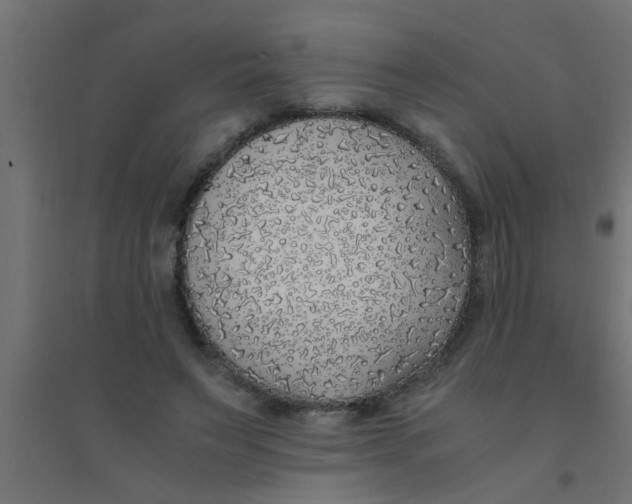 X0000094320495200711241810
